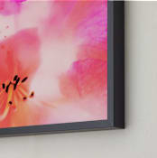 "Colors of a flower " - Art Print in rosy pink by NSMARK - Frame Close-up