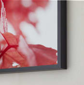"Scarlet Season" - Art Print in Scarlet by Karen Kaul - Frame Close-up