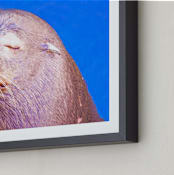 "Napping" - Art Print in Grayish  by NSMARK - Frame Close-up