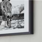 "SILLY HORSE" - Art Print in BLACK, WHITE by Zanne Bedore - Frame Close-up