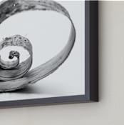 "Natures Curves" - Art Print in black and white by Alexis Arnold - Frame Close-up