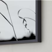 "Twisted Grass" - Art Print in black and white by Alexis Arnold - Frame Close-up