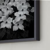 "Rainy Day Flowers" - Art Print in Black & White by Janet Cruz - Frame Close-up