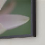 "Half of Me" - Art Print in Pink by Carol Schiraldi - Frame Close-up