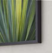 "Linear in Green" - Art Print in Cool Leaf Green by Carol Schiraldi - Frame Close-up