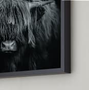 "Majestic Gaze" - Art Print in Black and White by Stephanie Brown - Frame Close-up