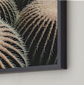 "Watermelon Wilma" - Art Print in Cactus Beige by K.Short - Frame Close-up