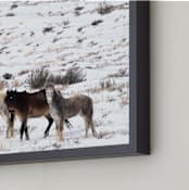 "Desert Devotion" - Art Print in Desert Snow by Leslie Le Coq - Frame Close-up