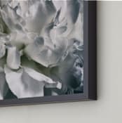 "Vintage White Peony" - Art Print in soft white by Alexis Arnold - Frame Close-up