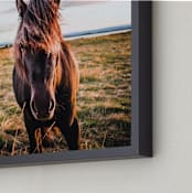"icelandic horse no.2" - Art Print in one color by Monica Gussow - Frame Close-up