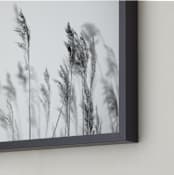 "summer weeds b+w" - Art Print in black and white by Crystal Lynn Collins - Frame Close-up
