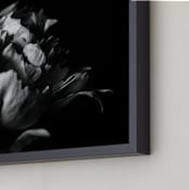 "Petals in Black & White" - Art Print in black and white by Alexis Arnold - Frame Close-up