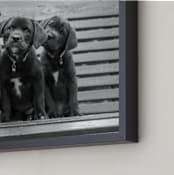 "Threesome" - Art Print in Black Lab by Nancy Lindo - Frame Close-up