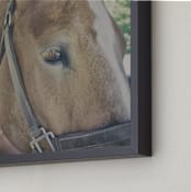"Draft Horse" - Art Print in Vintage Brown by Alexis Arnold - Frame Close-up