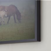 "A foal with its mother" - Art Print in green scale by Lying on the grass - Frame Close-up