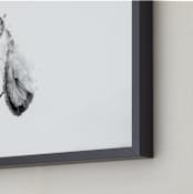 "Milkweed End of Season" - Art Print in bright white by Alexis Arnold - Frame Close-up