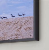 "Seagulls on Sand Hill" - Art Print in Calm Blue by AreekaDesigns - Frame Close-up