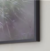 "Natures Pink Spray" - Art Print in Smokey Mauve by Carol Schiraldi - Frame Close-up