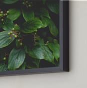 "Green Berry Ben" - Art Print in Green Berry by K.Short - Frame Close-up