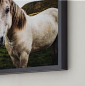 "icelandic horse no.1" - Art Print in one color by Monica Gussow - Frame Close-up