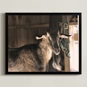 "Peeking" - Art Print in Umber by Paula Pecevich - Framed