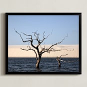 "Life cycle 1" - Art Print in Blue by Eliane Lamb - Framed