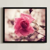 "After the Rain" - Art Print in Rose Pink by Gray Star Design - Framed