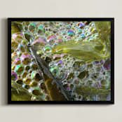 "Sea Bubbles" - Art Print in Sea Bubble Green by Mechelle Gilford - Framed