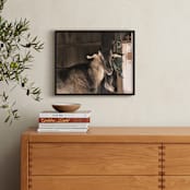 "Peeking" - Art Print in Umber by Paula Pecevich - In a Room