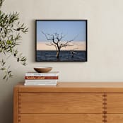 "Life cycle 1" - Art Print in Blue by Eliane Lamb - In a Room