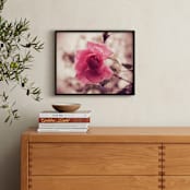 "After the Rain" - Art Print in Rose Pink by Gray Star Design - In a Room