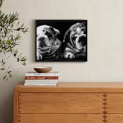 "Puppies" - Art Print in Graphite Gray by Jerry Winick - In a Room
