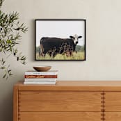 "Texas Cow" - Art Print in Blue by Jennifer Matlock - In a Room