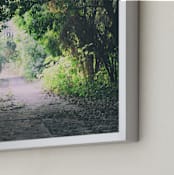 "Pathway" - Art Print in Forest by Carol Schiraldi - Frame Close-up