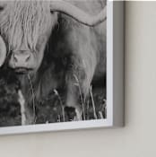 "Highland Cows" - Art Print in White by Amy Carroll - Frame Close-up