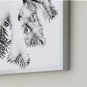 "Caked 2" - Art Print in Snowy Shades by Calais A Le Coq - Frame Close-up
