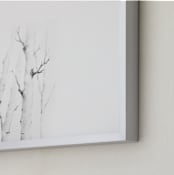 "Birch in Chappaquiddick" - Art Print in Birch Grey by jinseikou - Frame Close-up
