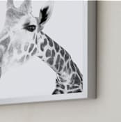 "Gentle Giraffe" - Art Print in White by Jessie Steury - Frame Close-up