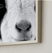 "Pawnee" - Art Print in Black and White by Leslie Le Coq - Frame Close-up