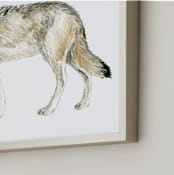 "Wolf Watercolour Study" - Art Print in Olive Taupe by Eve Schultz - Frame Close-up