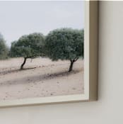 "Casting Shade" - Art Print in Sage by Courtney Crane - Frame Close-up