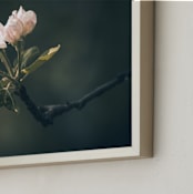 "Spring Apple Blossom" - Art Print in Greyish Teal by Justine Bicknell - Frame Close-up