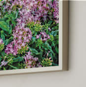 "Starflowers" - Art Print in Starflower Pink by Mariecor Agravante - Frame Close-up