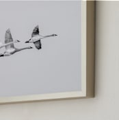 "Evaporate Grey" - Art Print in Black & White by Leaves of Ash - Frame Close-up