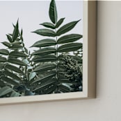 "Green leaves on white" - Art Print in Green by Lying on the grass - Frame Close-up