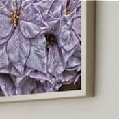 "Mauve Mulberry-Hued" - Art Print in Mauve-Mulberry by Mariecor Agravante - Frame Close-up