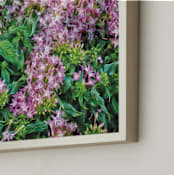 "Starflowers" - Art Print in Starflower Pink by Mariecor Agravante - Frame Close-up
