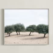 "Casting Shade" - Art Print in Sage by Courtney Crane - Framed