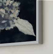 "Hortensia" - Art Print in Midnight by Courtney Crane - Frame Close-up
