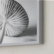 "Mushroom Found" - Art Print in light grey by Alexis Arnold - Frame Close-up